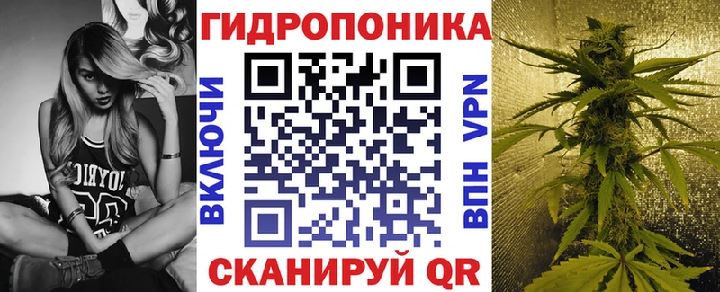 Бошки Шишки планчик Ахтубинск
